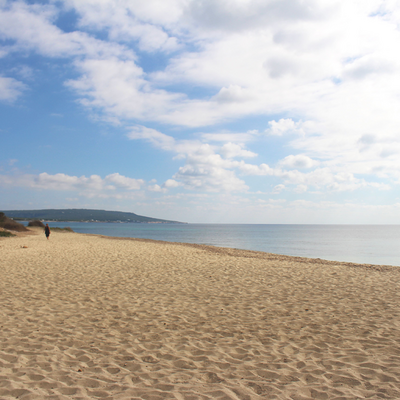 Bungalows Can Miguel Marti Beach area