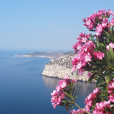 Insel Thassos Greece