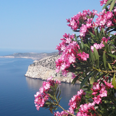 Insel Thassos Griechenland