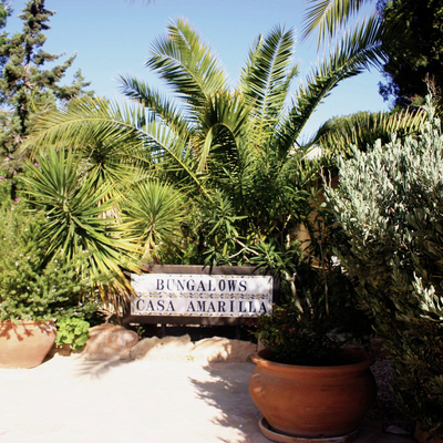 Bungalows Casa Amarilla Gartenanlage