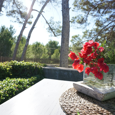Bungalows del Lago Terrasse